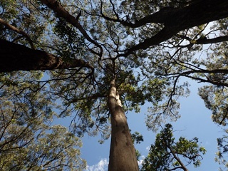 P1092558a.jpg